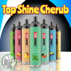 Top Shine Disposable Vape 4500 Puffs